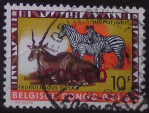 Kongo Kinshasa 40