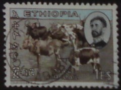 Etiópia 515