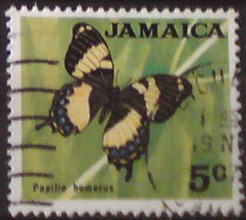 Jamajka 312