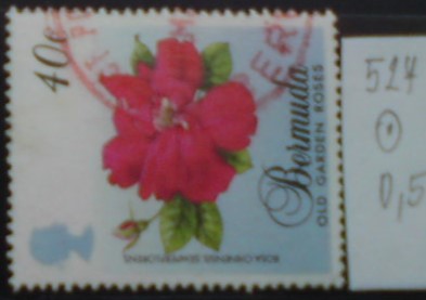 Bermudy 527