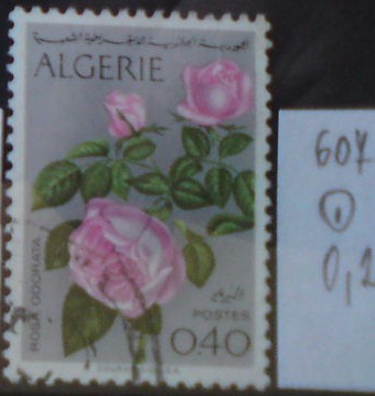 Alžírsko 607