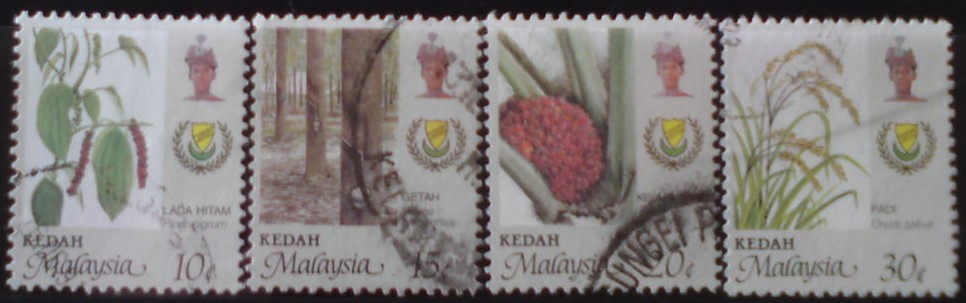 Kedah 140/3