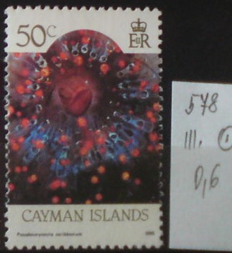 Kajmanské ostrovy 578