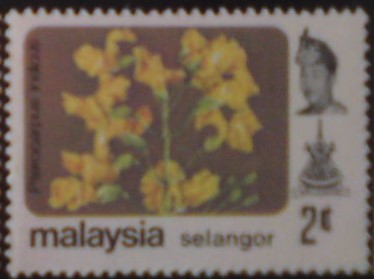 Selangor 113 **