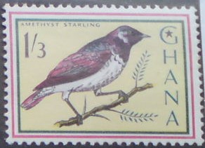 Ghana 204 **