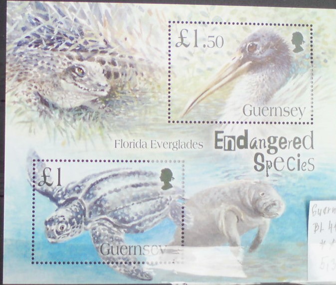 Guernsey BL 41 **