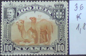 Nyassa 36 *