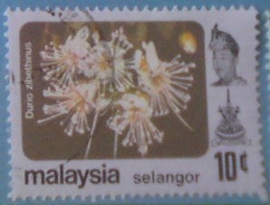 Selangor 115