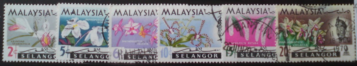 Selangor 99/104