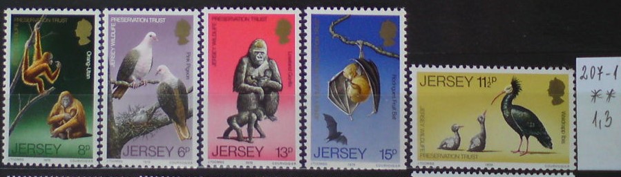 Jersey 207-1 **
