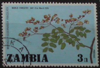 Zambia 162