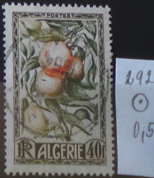 Alžírsko 292