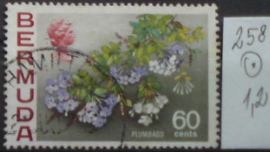 Bermudy 258