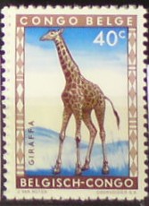 Belgické Kongo 345 **