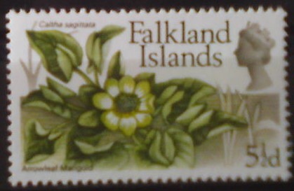 Falklandské ostrovy 167 **