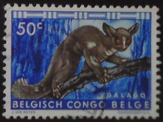 Belgické Kongo 345