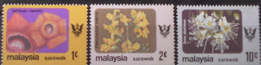 Sarawak 232/5 **