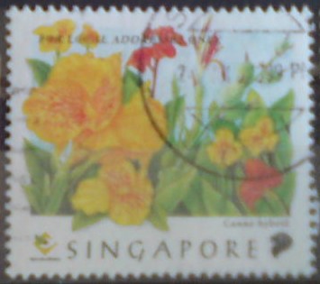 Singapur 907