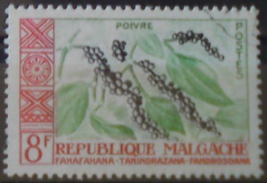 Madagaskar 452