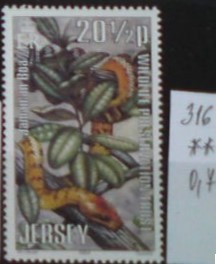 Jersey 316 **