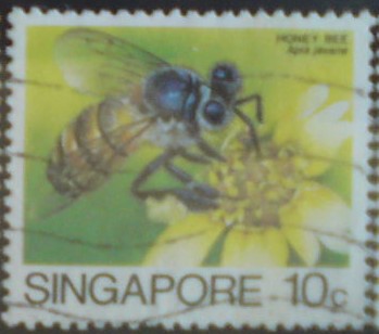 Singapur 464