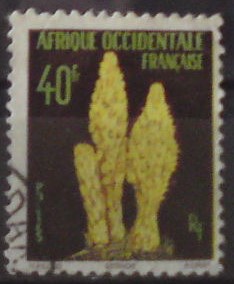 Francúzska záp.Afrika 98