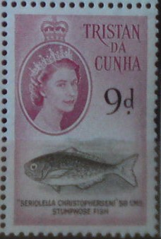 Tristan da Cunha 37 **