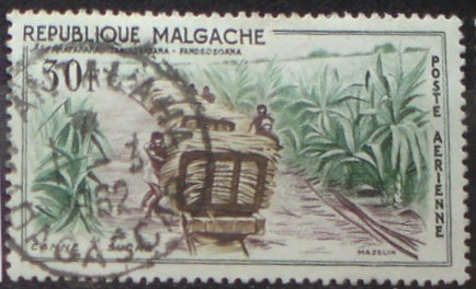 Madagaskar 455