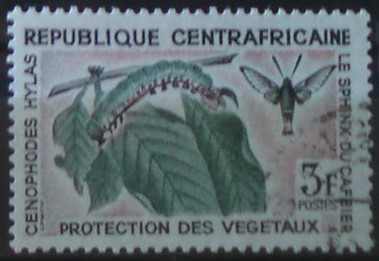 Stredo Africká Republika 89