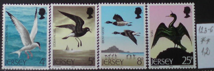 Jersey 123-6 **