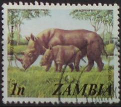 Zambia 141