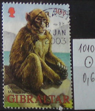 Gibraltar 1010