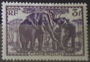 Kamerun 152 *