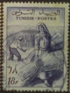 Tunisko 476