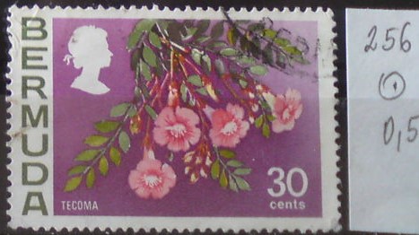 Bermudy 256