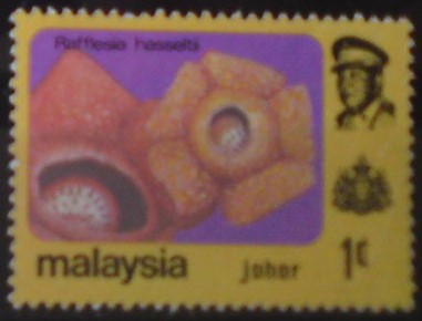 Johor 168 **