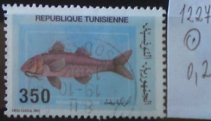 Tunisko 1227