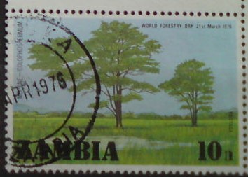 Zambia 165