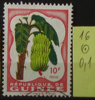 Guinea 16