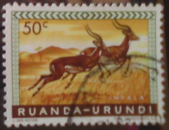 Ruanda Urundi 164