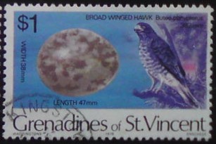 Svätovincenské Grenadiny 147