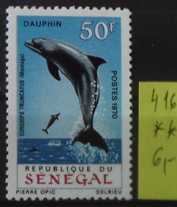 Senegal 416 **