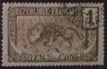 Stredné Kongo 1