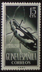 Španielska Guinea 297 **
