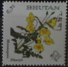 Bhután 131 **