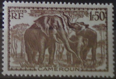 Kamerun 146 *