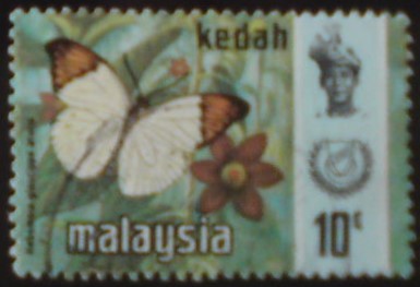 Kedah 117