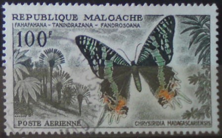 Madagaskar 458