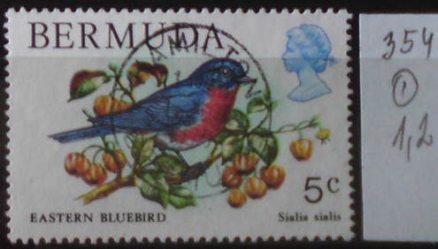 Bermudy 354