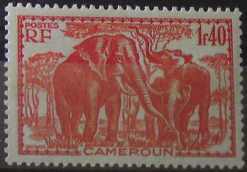 Kamerun 145 *